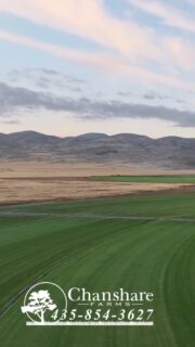 Northern Utah - your lawn's moment is now! Fall is when sod thrives! Strong Roots, Green Growth, Lasting Beauty! #chansharesod #chansharefarms #chanshare #waterwisesod #droughttolerantlandscape #realgrassisbetter #lawnsofinstagram #learnyourlawn #greenspacematters #desertsagesod #beutahful #grassisgood #keepitreal #realgrassisbetter #farmfresh #sodfarmlife