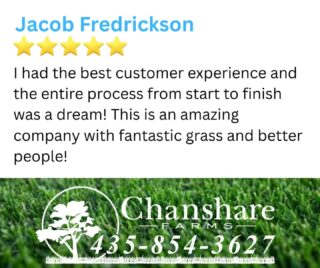 Thank you Jacob for the feedback! We strive to make the sod buying process seamless and your review means a lot to us! #chansharesod #chanshare #chansharefarms #waterwisesod #beutahful #droughttolerantlandscape #greenspacematters #grassisgood #lawnsofinstagram #twcacertified #TWCA #desertsagesod #sodfarmlife #learnyourlawn  #farmfresh #keepitreal #realgrassisbetter #turfgrass #UtahGrown
