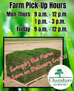 Give us a call today and let us know how much sod you need for your end of year projects. Then swing by the farm and we'll load up your truck! Skip the delivery costs and get the same great product for less!

#farmfresh #farmpickup #chansharesod #chanshare #chansharefarms #waterwisesod #droughttolerantlandscape #greenspacematters #grassisgood #learnyourlawn #fallisthebest #keepitreal #realgrassisbetter #twcacertified #TWCA #beutahful