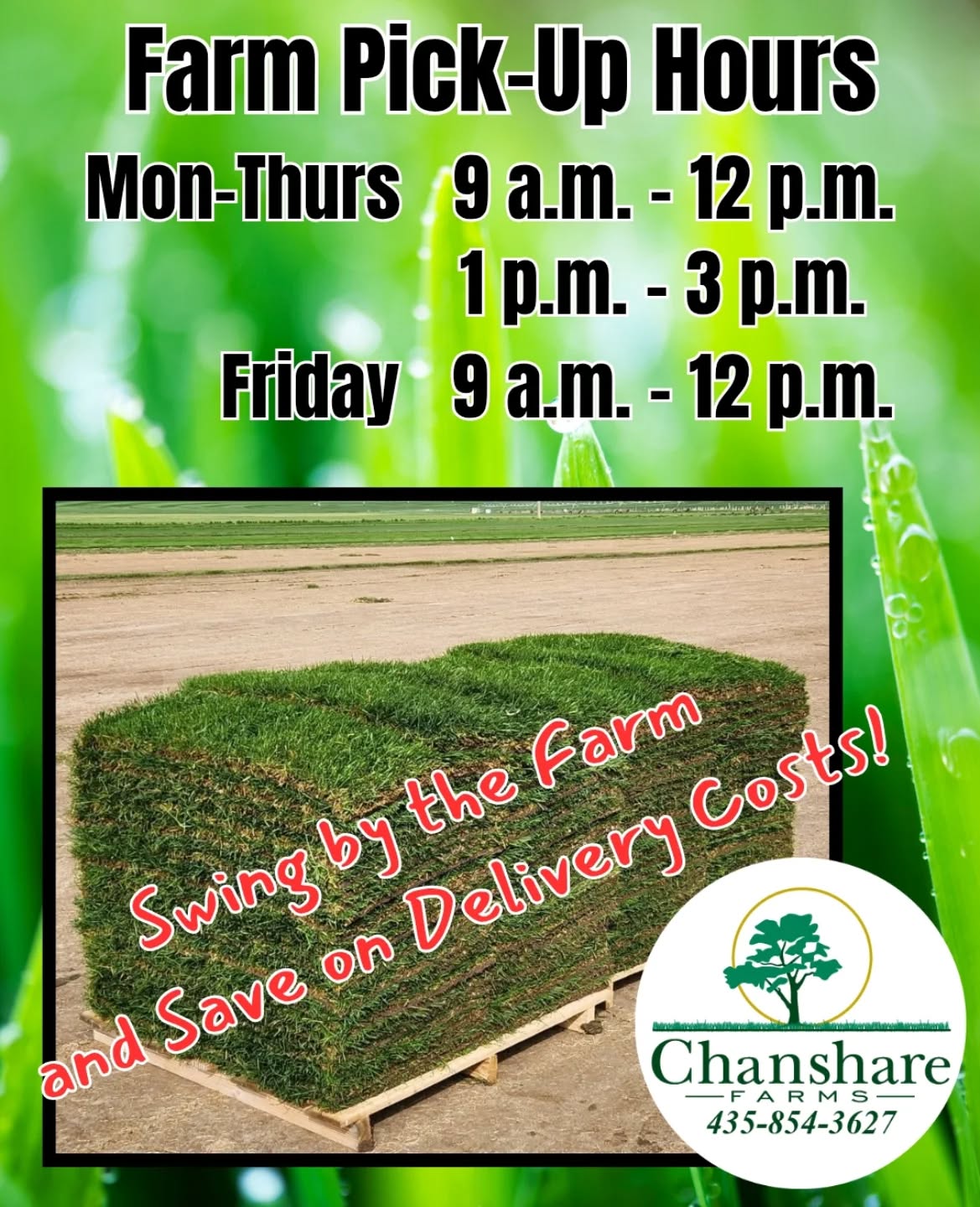 Give us a call today and let us know how much sod you need for your end of year projects. Then swing by the farm and we'll load up your truck! Skip the delivery costs and get the same great product for less!

#farmfresh #farmpickup #chansharesod #chanshare #chansharefarms #waterwisesod #droughttolerantlandscape #greenspacematters #grassisgood #learnyourlawn #fallisthebest #keepitreal #realgrassisbetter #twcacertified #TWCA #beutahful