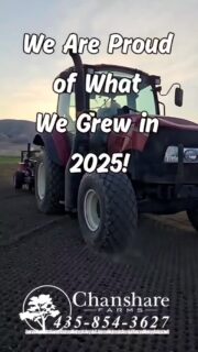 As we wrap up a incredible year, we want to say thank you to our customers, partners, and hardworking team. Your trust, support, and dedication are what keep our fields growing and our standards high.
This year was especially meaningful as we continued making strides in water-wise turf solutions, bringing resilient, efficient grasses to Utah—including Tahoma 31 hybrid bermudagrass, which helps reduce water use without sacrificing performance or beauty.
We’re proud of what we’ve grown together and excited for what’s ahead. Thank you for being part of our journey.
#chansharesod #waterwisesod #grassisgood #droughttolerantlandscape #realgrassisbetter