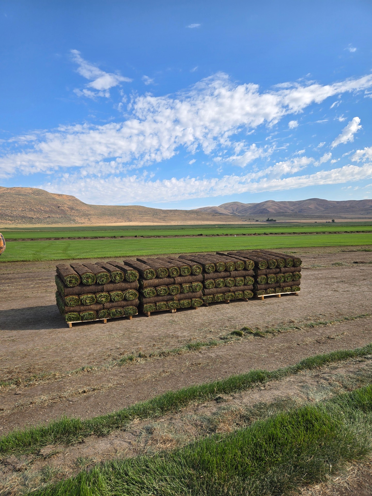 Will we see you tomorrow at the Green Conference?  Swing by and grab some energy!!