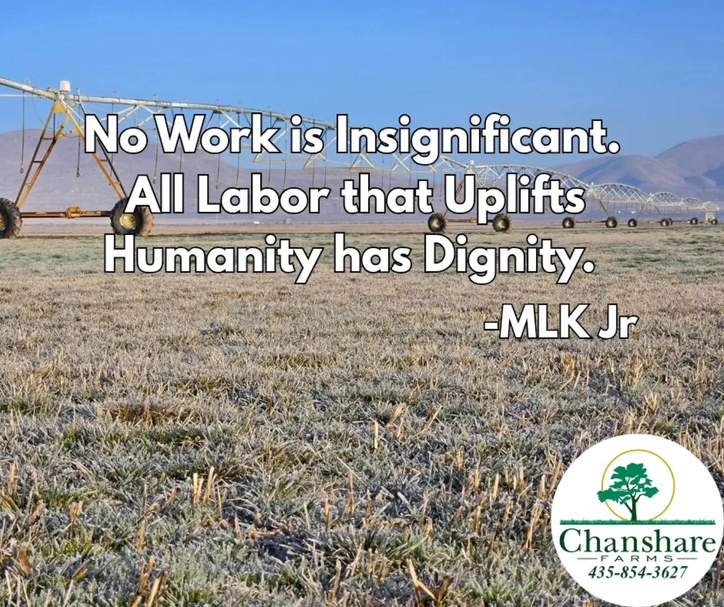 On this Martin Luther King Jr. Day, we reflect with gratitude on the freedoms, opportunities, and promise of living in the United States.
Like the grass we grow, progress takes patience, care, and commitment. We honor Dr. King’s legacy and those who sacrificed to help create a more just and hopeful future for all.
#chansharesod #mlkday #waterwisesod #grassisgood #learnyourlawn