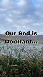 During the off-season, we send a representative from our farm to legislative meetings at the Utah State Capitol. Why? Because the future of agriculture—and your right to choose the landscaping that works best for your home—matters. Educating lawmakers today helps ensure a balanced, informed future for Utah landscapes tomorrow.

#chansharesod #waterwisesod #droughttolerantlandscape #realgrassisbetter #greenspacematters