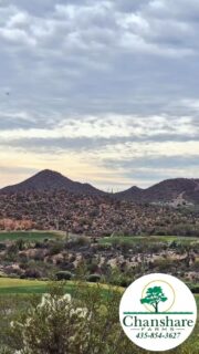 Our team is at TPI (Turf Producers Internationa)l in Tucson 🌵
Learning. Collaborating. Improving.
Connecting with growers from around the world as we advance smarter, water-wise practices and sustainable turf solutions.
Growing better — together. 🌎🌱💧

#chansharesod #waterwisesod #realgrassisbetter #turfproducersinternational #droughttolerantlandscape