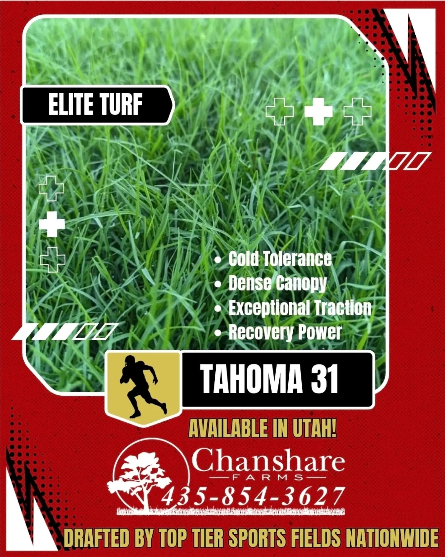 When the pros demand better footing, they upgrade! After receiving an F- grade on their field, the Pittsburgh Steelers are joining a growing number of pro sports teams and replacing their "borderline unplayable" turf with Tahoma 31. Tahoma 31 Hybrid Bermudagrass is setting the new standard for elite sports surfaces — tough, cold-tolerant, and built for traction. Available in Utah only from Chanshare Farms.

#tahoma31 #chansharesod #waterwisesod #droughttolerantlandscape #steelers
