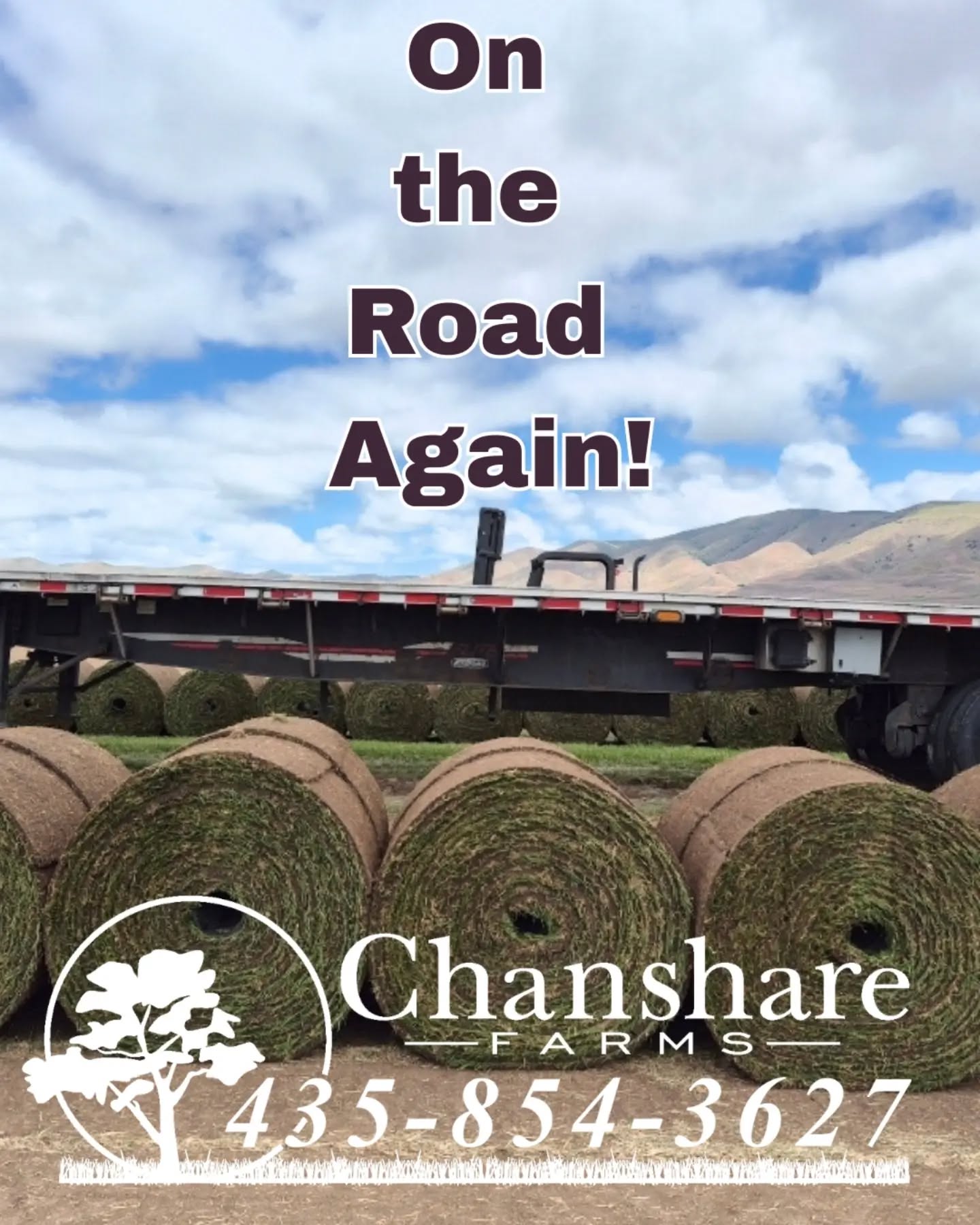 Give us a call to get your Spring sod delivered! Chanshare Farms is harvesting and shipping!
#chansharesod #chanshare ##chansharefarms #waterwisesod #droughttolerantlandscape