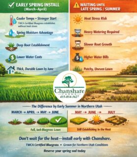 What Western lawns really need! Reserve your Spring sod today! #chansharefarms #waterwisesod #droughttolerantlandscape #TWCA #learnyourlawn
