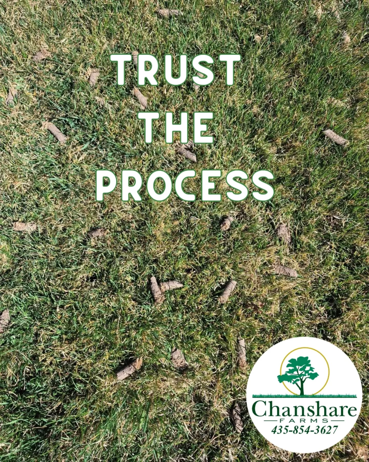 Thicker, Healthier Lawn starts below the surface. 👇 
Spring Aeration:
 *Improves Airflow to Roots
 *Better Water Absorption
 *Boosts Nutrient Uptake
 *Relieves Soil Compaction
 *Reduces Thatch Buildup
 *Improves Drought Resistance

#chansharesod #chansharefarms #waterwisesod #droughttolerantlandscape #learnyourlawn