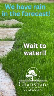 Many parts of Utah got rain overnight! We need to conserve water, especially this year! If you can, wait until May 15 to start watering your landscape!!