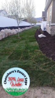 Just a few TWCA certified Desert Sage installation jobs from last week! #TWCA #chansharesod #chansharefarms #waterwisesod #droughttolerantlandscape