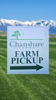 Skip the delivery fee! Drive in and pick up your sod fresh from the farm. We'll load your truck or trailer and send you on your way! #chansharefarms #chansharesod ##waterwisesod droughttolerantlandscape #twcacertified