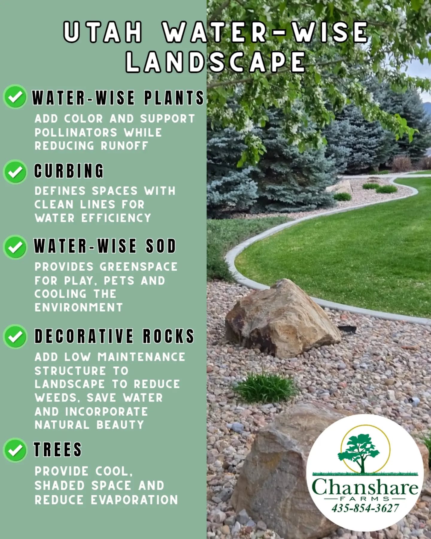 A well-designed yard is green, functional, and water-efficient! #chansharesod #TWCA #hybridbermudagrass #droughttolerantlandscape #waterwisesod