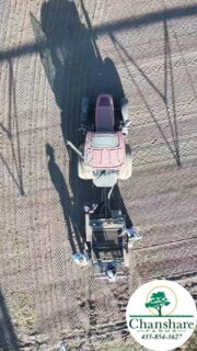 Happy little sod farmers loading up the Sprigmaster to plant another field of Tahoma 31 hybridbermudagrass! #chansharefarms #tahoma31 #droughttolerantlandscape #chansharesod #waterwisesod