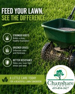 Reminder from Chanshare Farms: This weekend is a great time to FERTILIZE your lawn! 
#chansharesod #chansharefarms #desertsagesod #Tahoma31 #waterwisesod