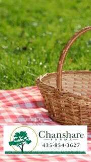 A few smart practices now can prepare your lawn for the heat ahead! 
#chansharesod #chansharefarms #waterwisesod #desertsagesod #droughttolerantlandscape