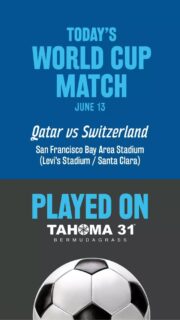 90 minutes. Millions watching. One surface.
Tahoma 31 Hybrid Bermudagrass is built for elite play, unmatched durability, and championship performance.
⚽ Play on greatness. #fifaworldcup2026 #chansharefarms #Tahoma31 #soccer #levisstadium