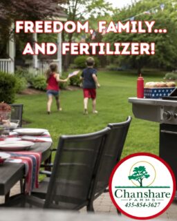 Set aside 15 minutes this week and feed your lawn before you feed the crowd! 
#chansharesod #chansharefarms #learnyourlawn #fourthofjuly #lawncareguide