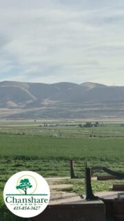 Looks like the Friday breakfast crowd has arrived. 🐦🚜🐛#chansharefarms #caseequipment #seagulls #beautahful #fridayvibes