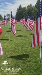 We're grateful for the vision of our Founding Fathers, the sacrifices of generations of service members and veterans, and the privilege of pursuing our dreams in this remarkable country.
Happy Independence Day from all of us at Chanshare Farms. 🇺🇸❤️

#chansharefarms #chansharesod #america250 #independanceday #4thofjuly