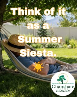 Your bluegrass may look tired in July, but it's simply conserving energy.  Bluegrass is built to handle Utah summers by slowing down until cooler temperatures return. The best thing you can do is mow high, water deeply and infrequently, and trust the process. 
#chansharesod #chansharefarms ##waterwisesod #learnyourlawn #droughttolerantlandscape