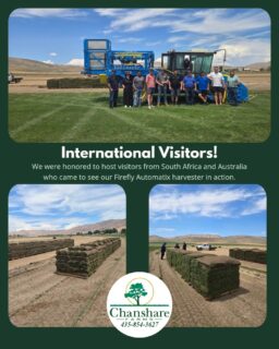 It's always exciting to see our Firefly harvesters in action! Their versatility, efficiency, and precision help us harvest high-quality sod while keeping our operation running smoothly. Exchanging ideas and experiences with growers from around the world was a great reminder that, although we're separated by thousands of miles, we're all working toward the same goal—producing the best turf possible.
#fireflyautomatix #chansharefarms #sodfarmlife #agriculture #waterwisesod