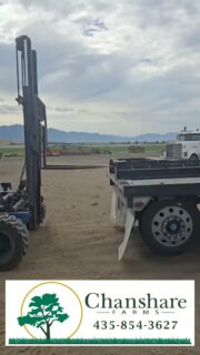 Meet Destrie. He says unloading a forklift from the back of a semi doesn't make him nervous—he's been around trucks since he was a kid riding with his dad. Experience like his makes the job look easy, even when it isn't. We're grateful for the skilled people who help keep Chanshare Farms moving. 🌱🚛
#chansharefarms #forklifts #waterwisesod #sodfarmlife #farmequipment