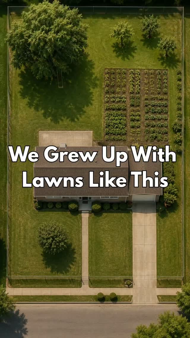 Water-wise landacaping does not mean giving up the beauty, play space, or lush green lawn we love! Give us a call or check out our website to learn about our water-wise sod varieties. 
#chansharefarms #droughttolerantlandscape #twcacertified #Tahoma31 #desertsagesod