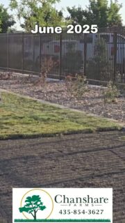 See the vision. Lay the sod. Enjoy the reward. 🌱
What starts as freshly laid sod today can become the established, beautiful landscape you’ll enjoy for years to come.
June 2025 → August 2026 | Smithfield, Utah
#chansharesod #droughttolerantlandscape #waterwisesod #desertsagesod #smithfieldutahtemple