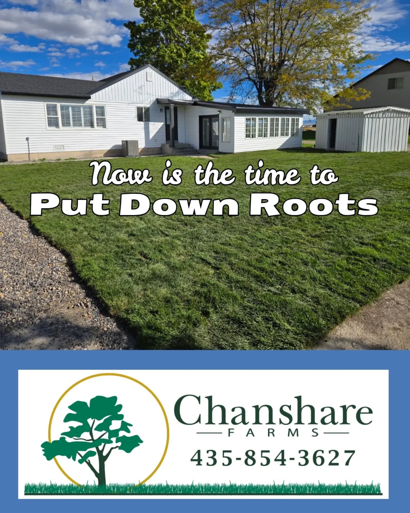 Don't Wait! With some Utah municipalities discussing ending secondary water service earlier this year, getting your new lawn established sooner could make a big difference. Chanshare Sod is naturally water-wise and when installed now, has time to establish its root system before the season changes.
Lay it now. Establish it now. Enjoy a green, healthy lawn for seasons to come!