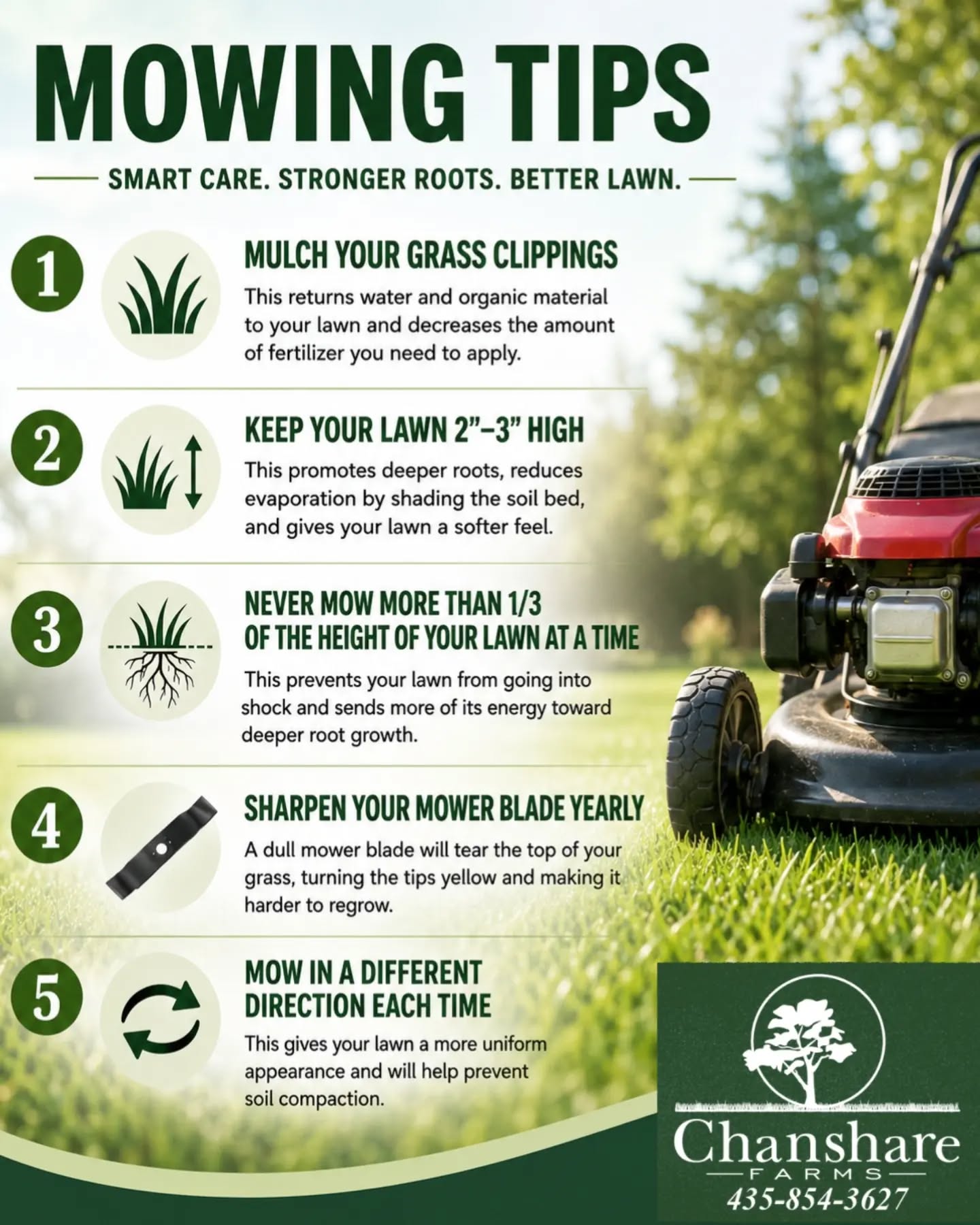 As temperatures begin to trend downward, your lawn will likely start growing more actively again.
A few simple mowing habits can make a big difference in the health, appearance, and resilience of your lawn as cooler days take over. #chansharesod #chansharefarms #learnyourlawn #waterwisesod #mowingthelawn