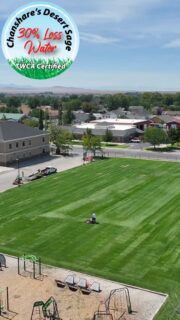 In a world of scrolling, kids still need places to run, play, get dirty, and make the kind of memories that last a lifetime. 🌱

This Montessori playground has room to do just that—with our Desert Sage sod providing a lush, durable place to play while using 30% less water.

Because being water-wise doesn’t mean giving up green space. 💚