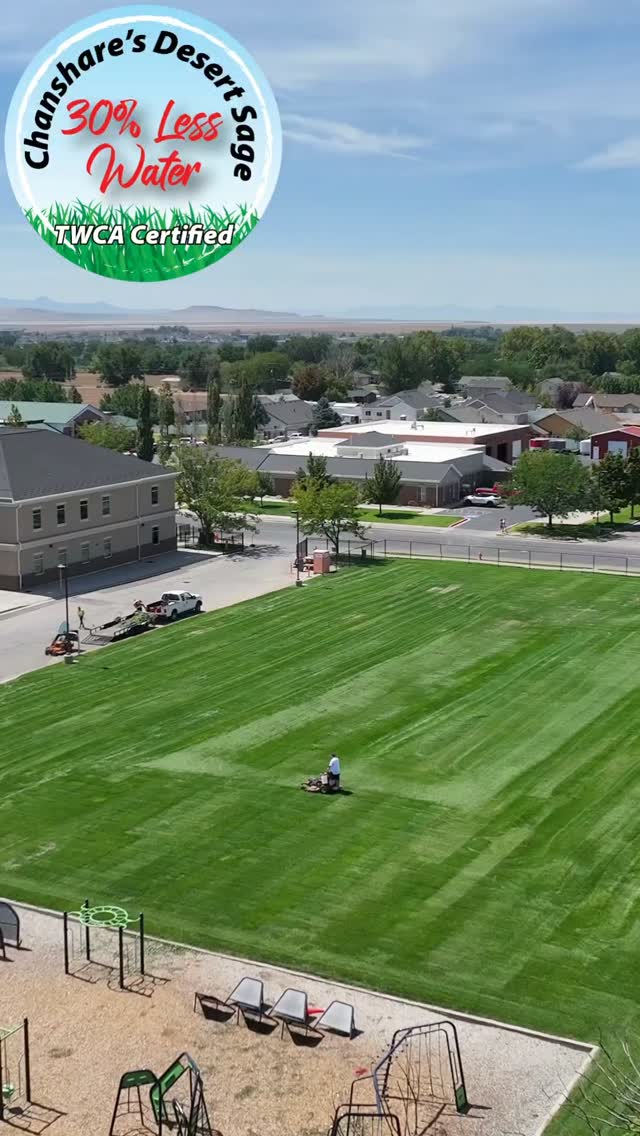 In a world of scrolling, kids still need places to run, play, get dirty, and make the kind of memories that last a lifetime. 🌱

This Montessori playground has room to do just that—with our Desert Sage sod providing a lush, durable place to play while using 30% less water.

Because being water-wise doesn’t mean giving up green space. 💚