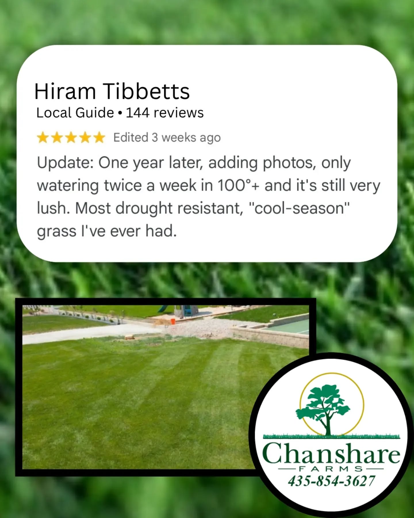 At the end of another blazing hot summer, our Desert Sage once again proves to be a champion seed blend! It is TWCA certified and requires 30% less water than typical bluegrass. 
#chansharefarms #desertsagesod #twcacertified #TWCA #chansharesod