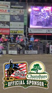 There’s something special about being part of a tradition that has stood the test of time. 🤠🇺🇸
The Golden Spike Rodeo has a long-standing legacy of bringing some of the best riders  from around the globe to compete at the highest level.
Chanshare Farms is proud to support this incredible rodeo as an Official Sponsor.
#chansharefarms #chansharesod #goldenspikerodeo #bullriding #tobykeith