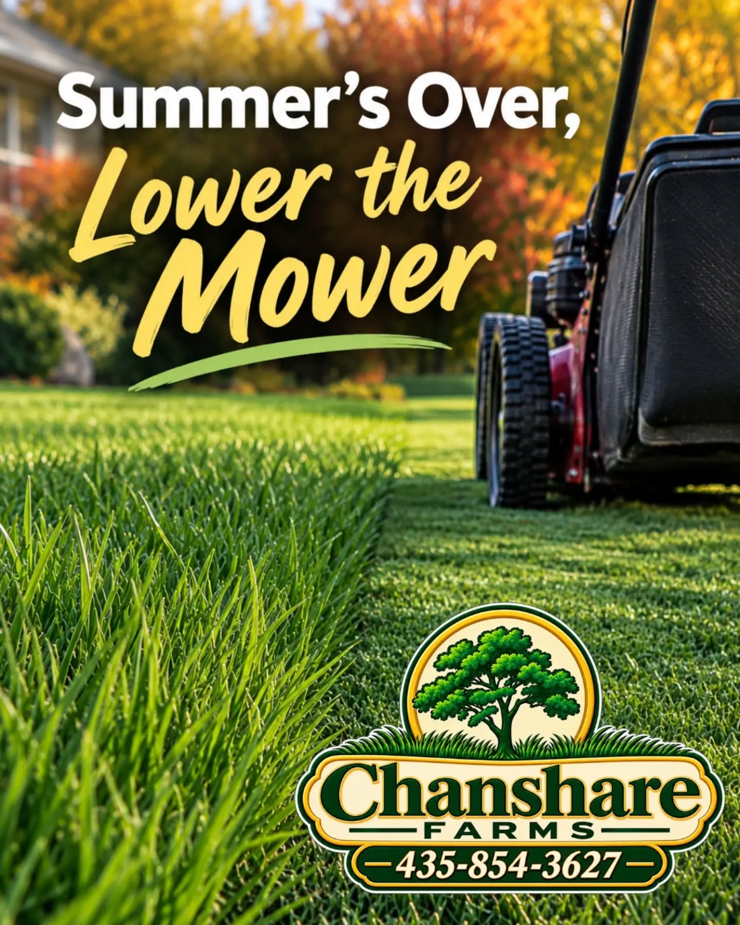 As temperatures begin to cool, it’s time to start lowering your mower blade. Gradually lower the cutting height throughout the fall as your lawn’s growth slows.
For your final mowing of the season, aim for a height of 1–1½ inches. A slightly shorter final cut can help your lawn head into winter in good shape. #chansharefarms #chansharesod #learnyourlawn #lawncareguide #waterwisesod