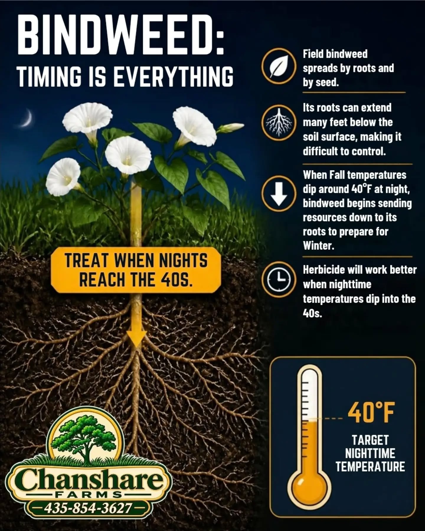 🌿 BINDWEED? FALL IS THE TIME TO TREAT IT!
Often mistaken for Morning Glory, field bindweed is a tough perennial with deep roots.
As nights approach 40°F, bindweed begins sending energy down to its roots—making Fall a great time for control.
You don’t have to spray at 40°F! Apply herbicide during appropriate daytime conditions while the plant is actively growing, and always follow the product label.
🍂 Watch the plant. Watch the temperatures. Timing matters!
#chansharesod #chansharefarms #bindweed ##learnyourlawn #droughttolerantlandscape