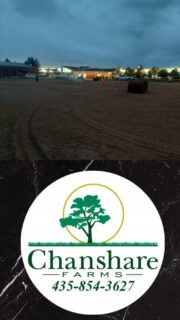 🚗 A little oasis for the open road! We installed ⅔ of an acre of Chanshare Desert Sage sod at Little America in Wyoming, creating a beautiful green space for road trippers to stretch, relax, and make memories. 💚#littleamerica #chansharefarms #waterwisesod #greenspacematters #chansharesod