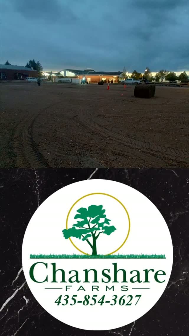 🚗 A little oasis for the open road! We installed ⅔ of an acre of Chanshare Desert Sage sod at Little America in Wyoming, creating a beautiful green space for road trippers to stretch, relax, and make memories. 💚#littleamerica #chansharefarms #waterwisesod #greenspacematters #chansharesod