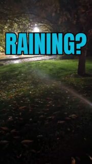🍂 Friendly reminder! If you haven’t already, it’s time to winterize your sprinklers. Your lawn will be just fine with the moisture from rain and snow, so let’s save water this winter! 💧❄️
#chansharefarms #chansharesod #learnyourlawn #sprinklers #desertsagesod